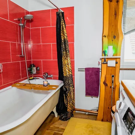 Apartment Traveler's - Colmar